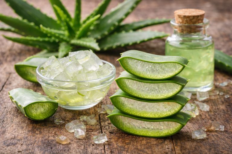 frunze de aloe vera taiate cu gel proaspat intr-un bol pe o masa rustica din lemn